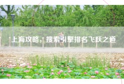 上海攻略，搜索引擎排名飞跃之道