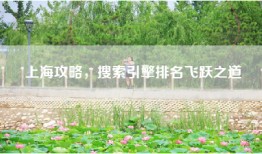 上海攻略，搜索引擎排名飞跃之道