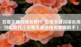百度关键词排名软件_百度关键词排名用什么软件（百度关键词排名查询助手）