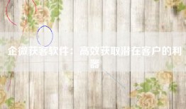 企微获客软件：高效获取潜在客户的利器