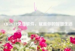 CHatGTP免费软件，赋能你的智慧生活