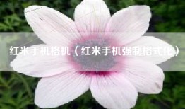 红米手机格机（红米手机强制格式化）