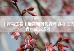 【青马工程】培育新时代青年领袖 助力青年成长成才