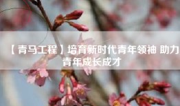【青马工程】培育新时代青年领袖 助力青年成长成才