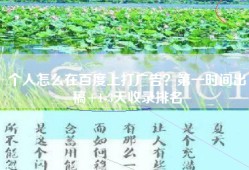 个人怎么在百度上打广告？第一时间出稿+1-3天收录排名