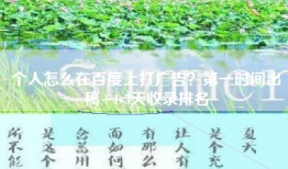 个人怎么在百度上打广告？第一时间出稿+1-3天收录排名