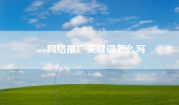 seo网络推广关键词怎么写
