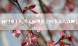 预付费手机卡（预付费手机卡怎么办理）