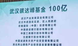 两山投资发起设立百亿武汉碳达峰基金手机凤凰「两山投资发起设立百亿武汉碳达峰基金」