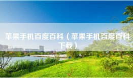 苹果手机百度百科（苹果手机百度百科下载）