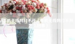 手机无线网打不开（手机无线网打不开怎么回事）