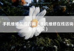 手机维修在线咨询（手机维修在线咨询免费专家）