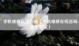 手机维修在线咨询（手机维修在线咨询免费专家）
