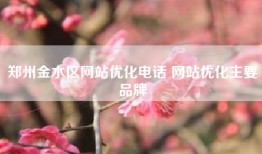郑州金水区网站优化电话 网站优化主要品牌