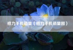 格力手机销量（格力手机销量图）