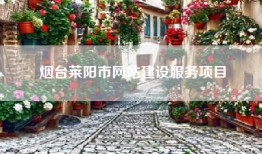 烟台莱阳市网站建设服务项目