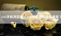 2345手机浏览器（2345手机浏览器极速版）