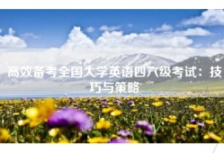 高效备考全国大学英语四六级考试：技巧与策略