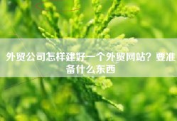 外贸公司怎样建好一个外贸网站？要准备什么东西