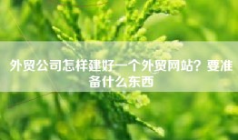 外贸公司怎样建好一个外贸网站？要准备什么东西