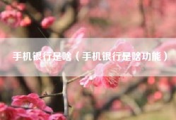 手机银行是啥（手机银行是啥功能）
