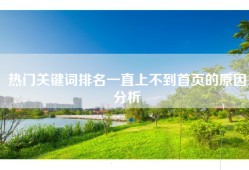 热门关键词排名一直上不到首页的原因分析