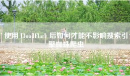 使用 CloudFlare 后如何才能不影响搜索引擎蜘蛛爬虫
