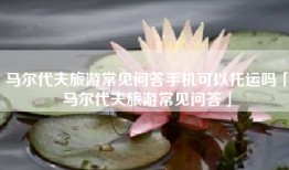 马尔代夫旅游常见问答手机可以托运吗「马尔代夫旅游常见问答」