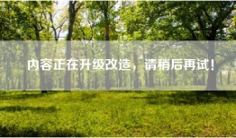 内容正在升级改造，请稍后再试！
