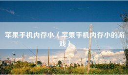 苹果手机内存小（苹果手机内存小的游戏）