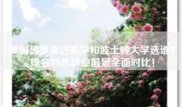 美国佛罗里达大学和波士顿大学选谁？排名特色就业前景全面对比！