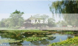 接入渠道