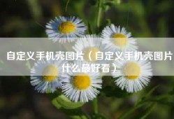 自定义手机壳图片（自定义手机壳图片什么最好看）