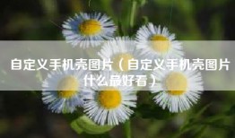 自定义手机壳图片（自定义手机壳图片什么最好看）