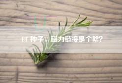 BT 种子，磁力链接是个啥？