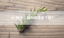 BT 种子，磁力链接是个啥？