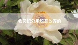 会员积分系统怎么弄的
