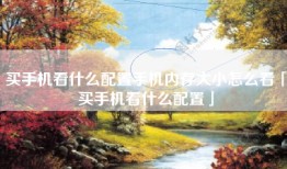 买手机看什么配置手机内存大小怎么看「买手机看什么配置」