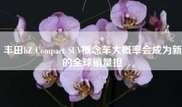 丰田bZ Compact SUV概念车大概率会成为新的全球销量担