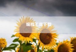 编程工具下载