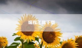 编程工具下载