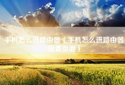 手机怎么进路由器（手机怎么进路由器设置页面）