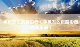 手机怎么进路由器（手机怎么进路由器设置页面）