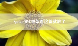 Spring MVC框架看这篇就够了