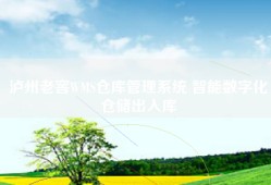 泸州老窖WMS仓库管理系统 智能数字化仓储出入库