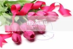 什么叫圈层