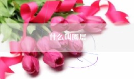 什么叫圈层