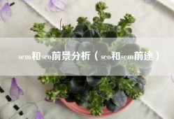 sem和seo前景分析（seo和sem前途）