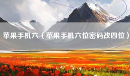 苹果手机六（苹果手机六位密码改四位）