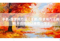 手机u盘使用方法（手机u盘使用方法视频,不会的可以来看一下）